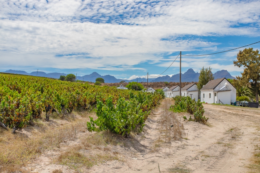 6 Bedroom Property for Sale in Lyndoch Western Cape